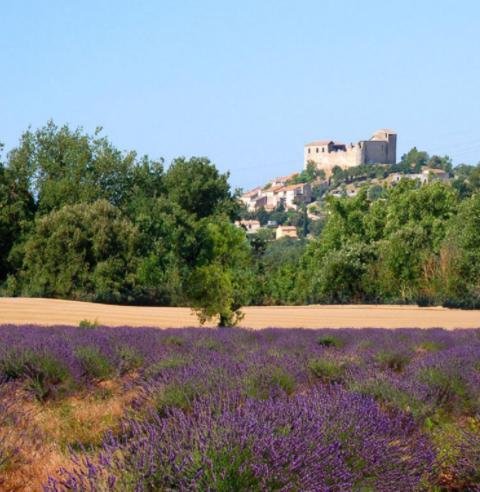 דירות Gréoux-les-Bains Le Provence מראה חיצוני תמונה